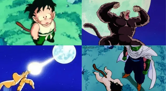 Dragon Ball Super, Gohan , Piccolo