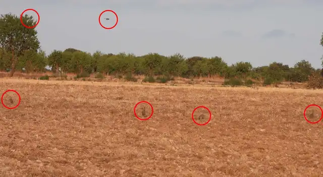 <strong>(FOTO: DIFUSIÓN)</strong>   