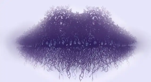 Test visual