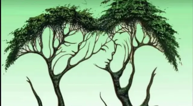 Cuántos rostros ves?   