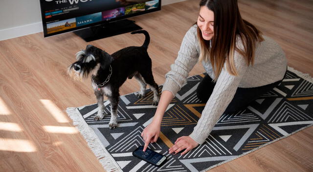 Smartphones: 5 aplicaciones para cuidar a tu mascota desde tu celular Smartphones: 5 aplicaciones para cuidar a tu mascota desde tu celular
