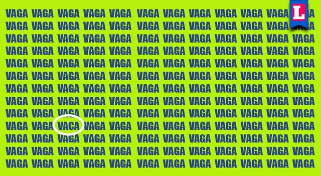 ¿Dónde se ocultaba la palabra 'VACA'? | Foto: Composición Líbero   