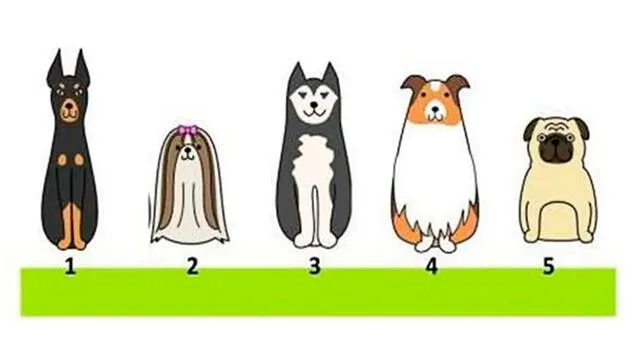Test de personalidad