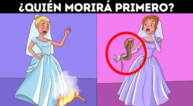 <strong>SOLUCIÓN</strong>   