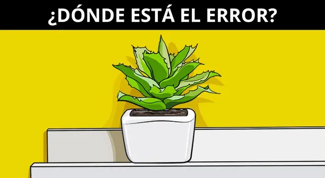 reto visual