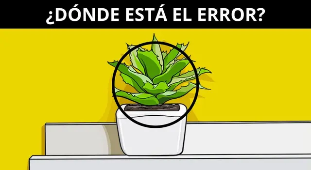reto visual