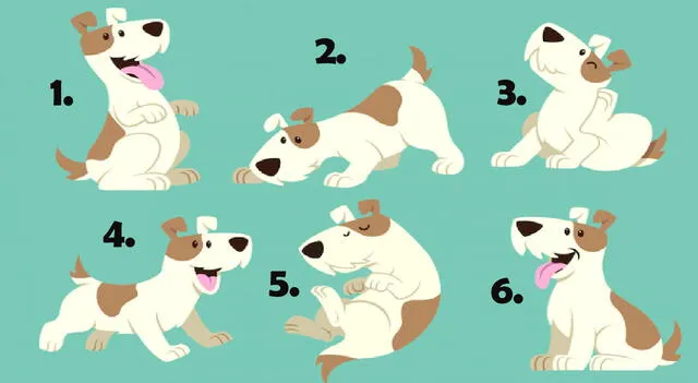 test de personalidad