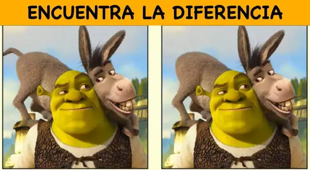 Encuentra en este desafío la ÚNICA diferencia