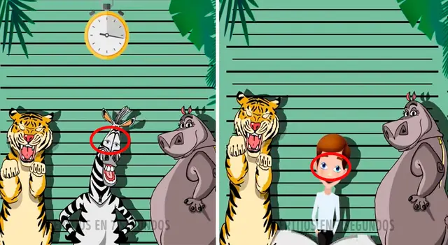 solución acertijo visual desafío viral