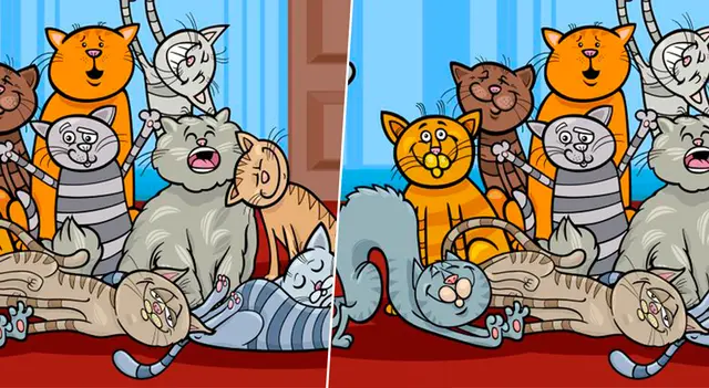 reto visual reto visual