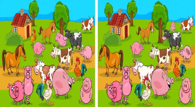 reto visual reto visual