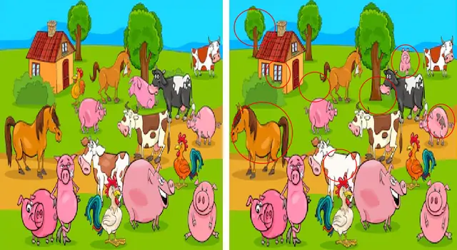 reto visual reto visual