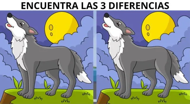 reto visual