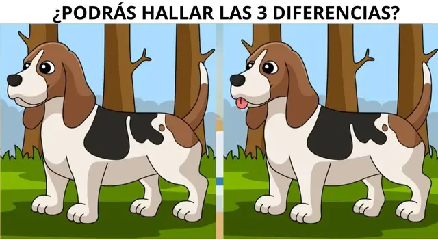 reto visual