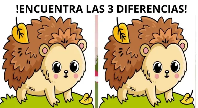 reto visual