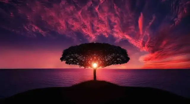 test de personalidad