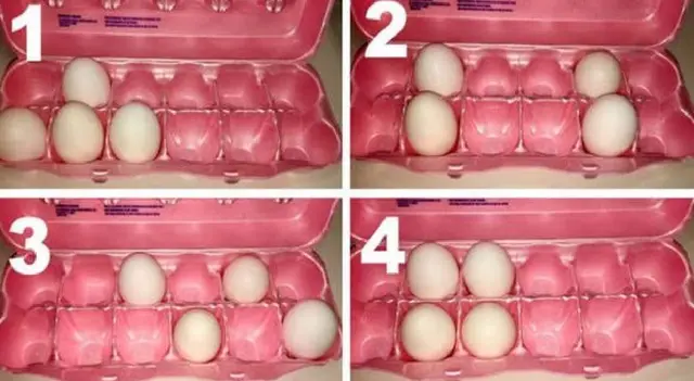 Test de personalidad