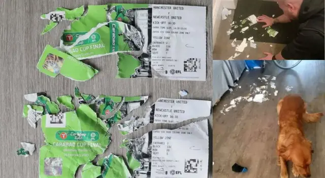 viral twitter viral twitter