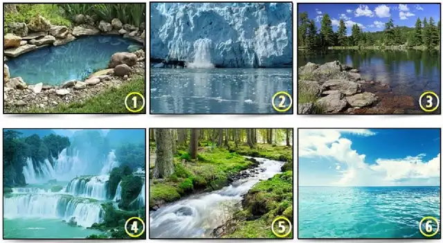 Test de personalidad Test de personalidad