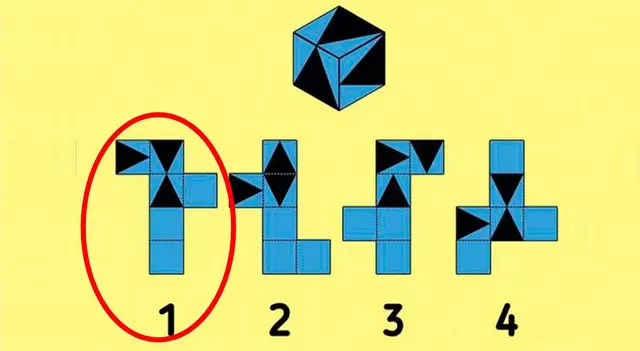 acertijo visual acertijo visual