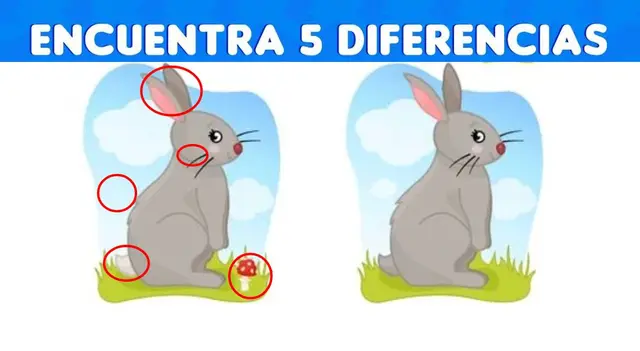 reto visual reto visual