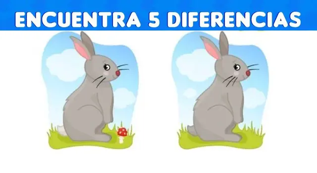 reto visual reto visual