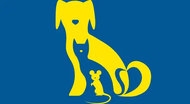 Test de personalidad