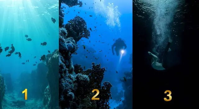 Test de personalidad