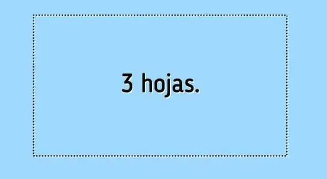 Acertijo visual