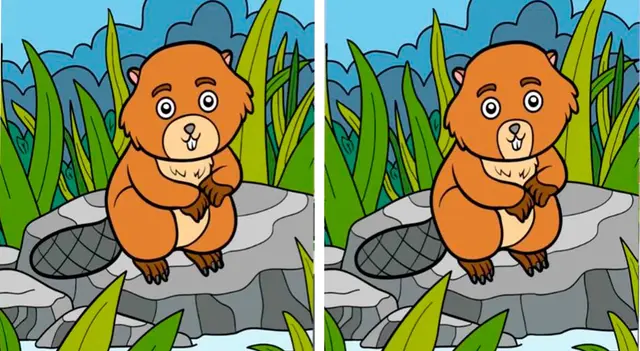 reto visual reto visual