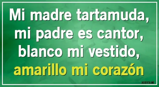 acertijo visual acertijo visual