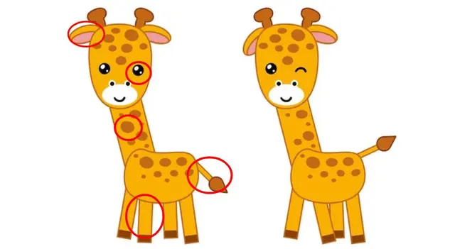 Reto visual Reto visual