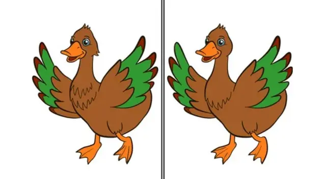 reto visual reto visual