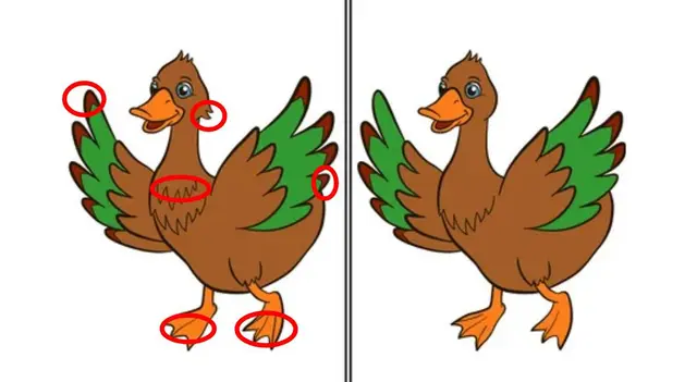 reto visual reto visual