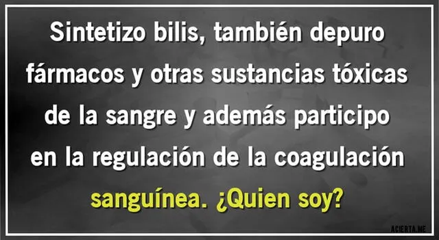 acertijo visual acertijo visual