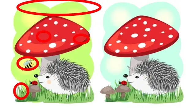 reto visual reto visual