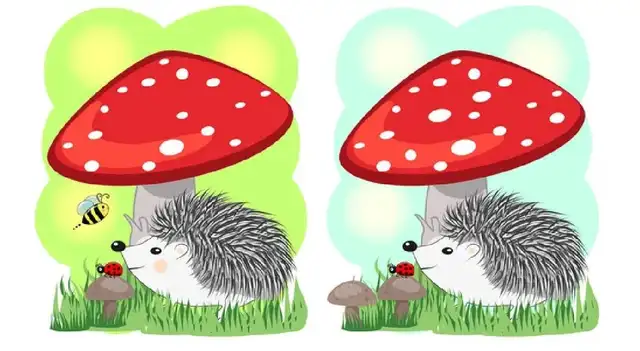 reto visual reto visual