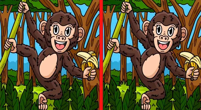 reto visual reto visual