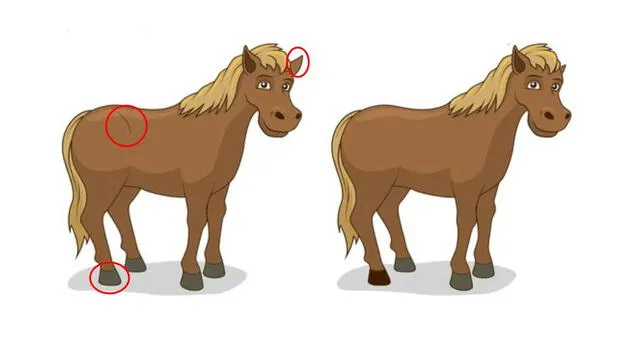 reto visual reto visual