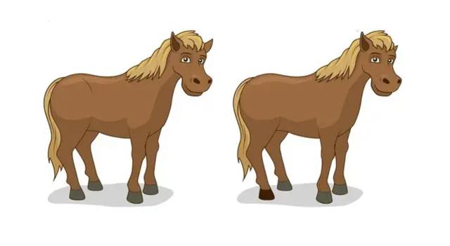 reto visual reto visual