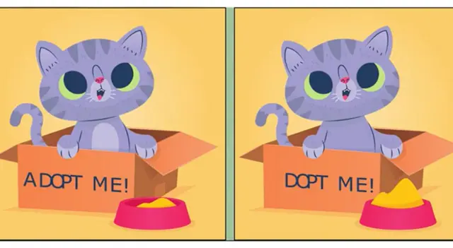 reto visual reto visual