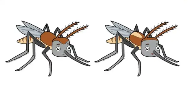 reto visual reto visual