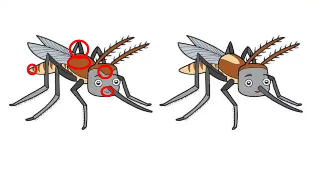 reto visual reto visual