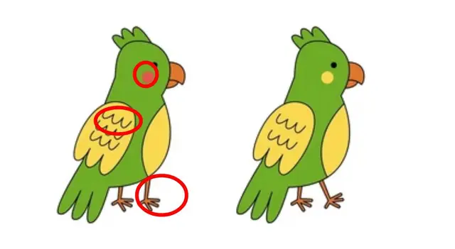 reto visual reto visual