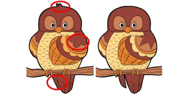 reto visual reto visual