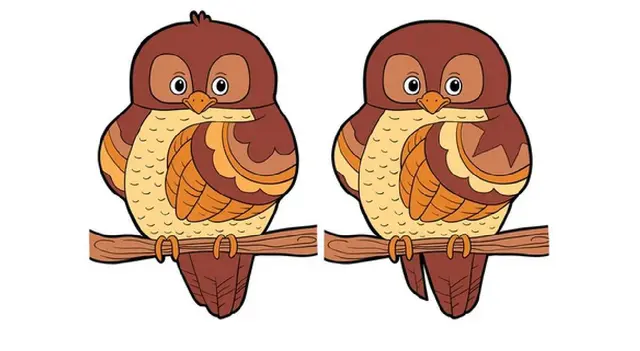 reto visual reto visual