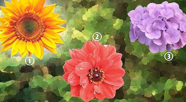 Test de personalidad