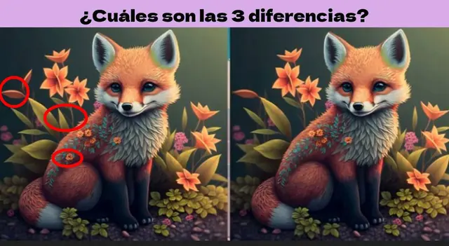 Reto visual Reto visual