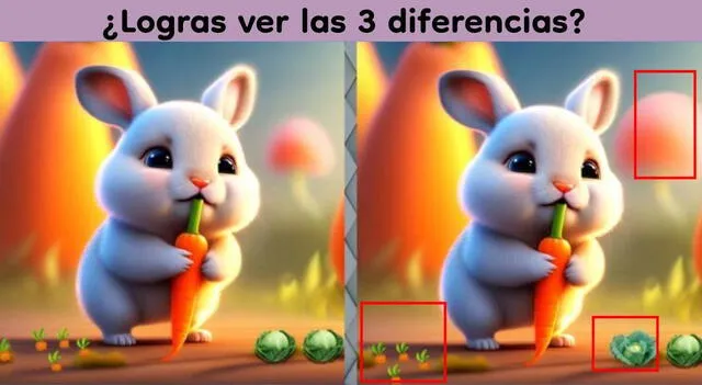 Reto visual