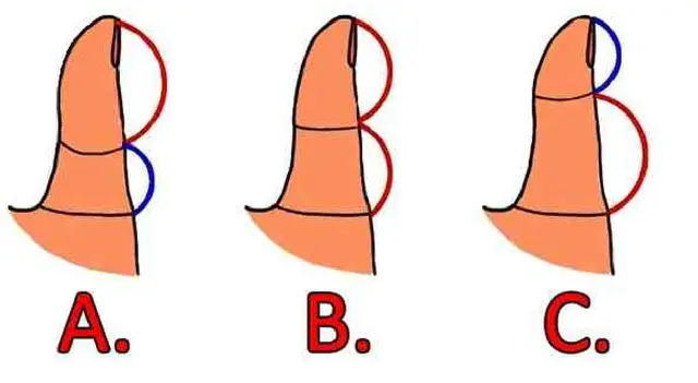 Test de personalidad